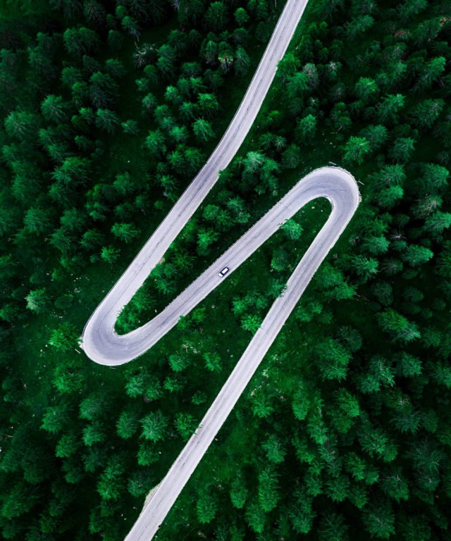 Bird's-eye view of a winding road surrounded by trees with a single car driving on it