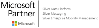 Microsoft logo with silver recognition on security consulting