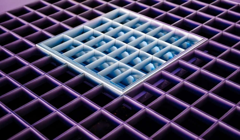 Purple and white squares making up larger grid 