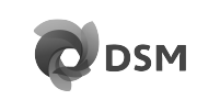 Royal DSM logo