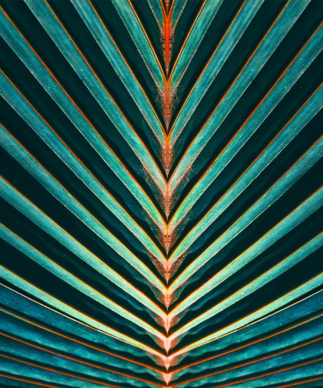 Abstract visual with dark and light green lines creating a "V"