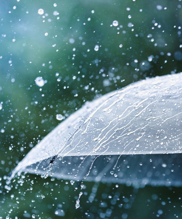 A clear umbrella with rain falling on it