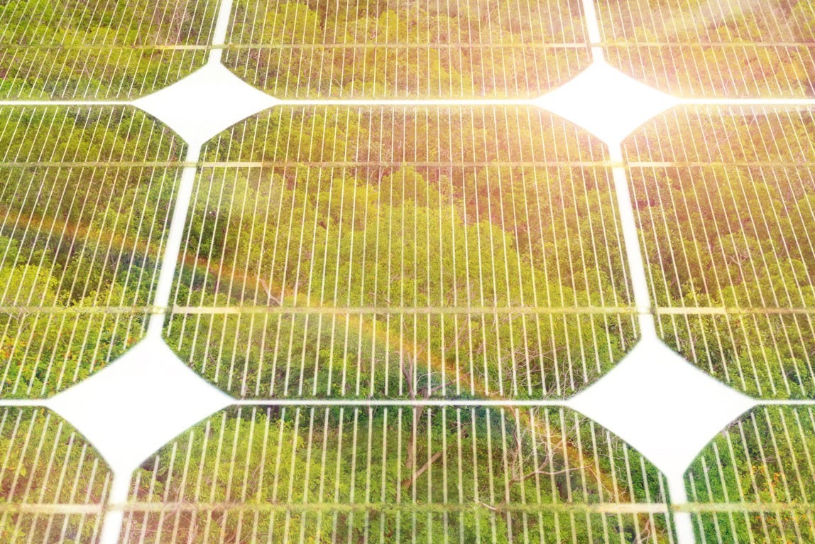 White vertical lines over a forest